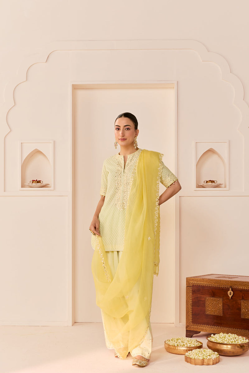Anaisha - Mint Green Short Kurta With Farshi Salwar (LXRTS)